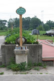 Raised Bed Garden C